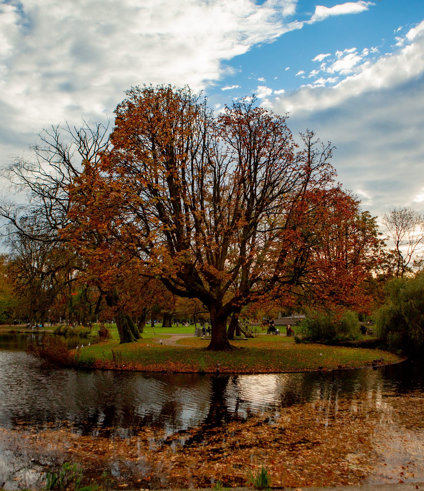 STICHTING HART VOOR HET VONDELPARK visual data 2
